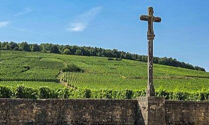 Michelin estreia guia de vinhos com nove "Três Uvas" na Borgonha 