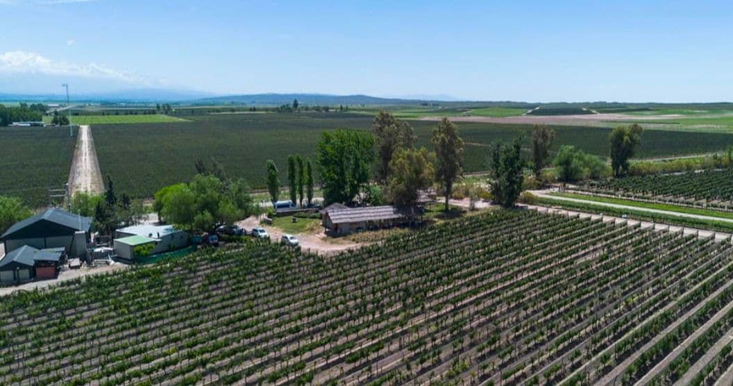Vale do Silício investe em refúgios de luxo em Mendoza